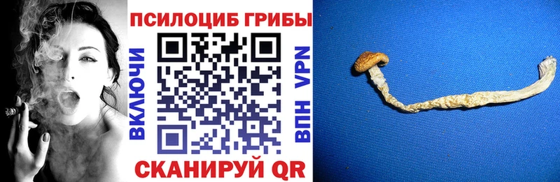 Галлюциногенные грибы мухоморы  Купить где  Канск 